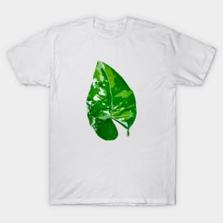 Alocasia Leaf T-Shirt